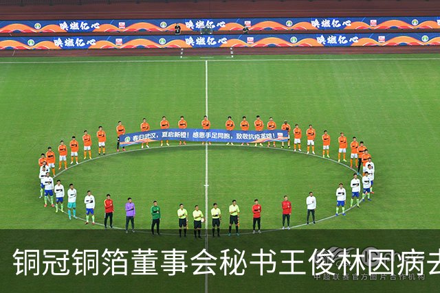 铜冠铜箔董事会秘书王俊林因病去世，享年56岁
